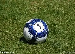 乐竞体育,产品,LEJIN,LEJIN,Sports,乐竞体育,体育直播,体育赛事,APP下载,官方网地址