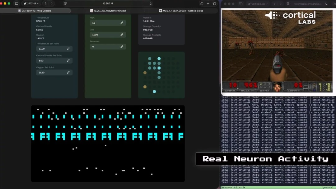 乐竞体育,资讯,LEJIN,LEJIN,Sports,乐竞体育,体育直播,体育赛事,APP下载,官方网地址
