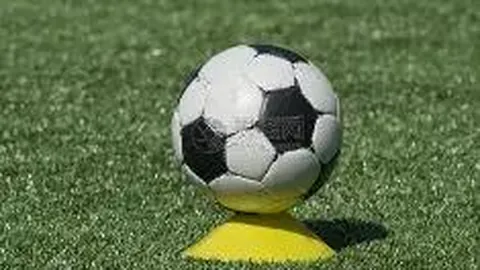 乐竞体育 产品 095537 knv