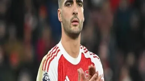 球星哈登胡须传奇：名人相伴篮球赛精彩瞬间