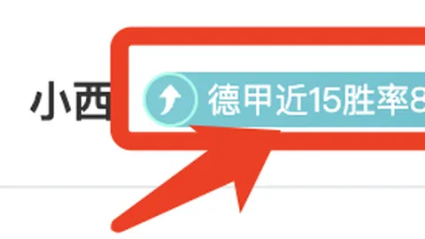 亚马尔表现卓越，勒诺尔芒凸显团队协作价值