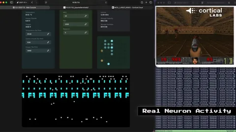 乐竞体育 资讯 191823 40p